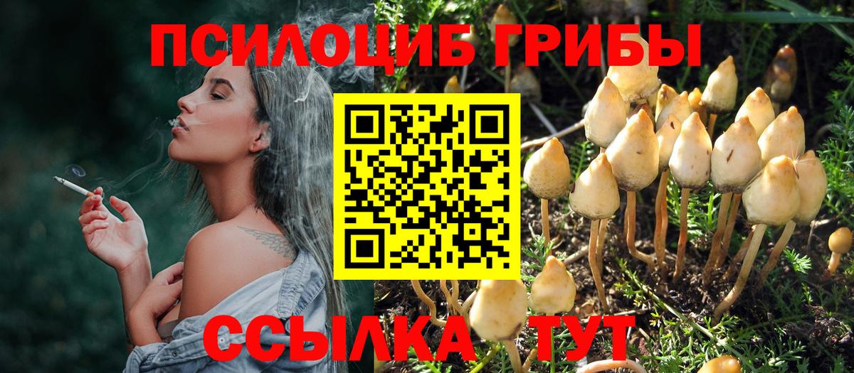 Псилоцибиновые грибы мицелий Озёры